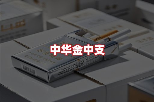 中华金中支